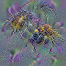 n02190166 fly